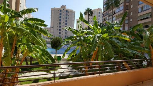 Acogedor Apartamento