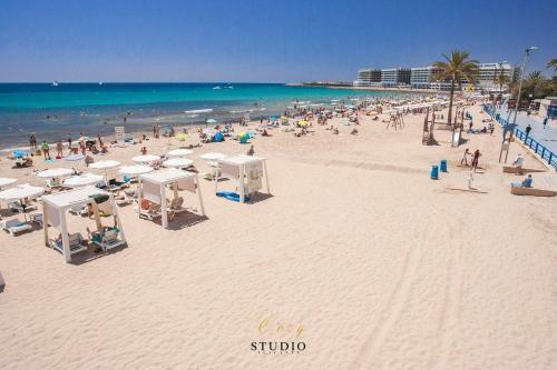 Apartamento Cozy Studio Alicante