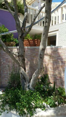 Apartamentos Villa Rita Oase