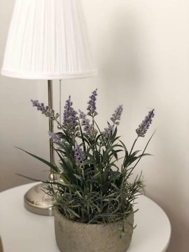 Apartamento 41 Calle Espronceda