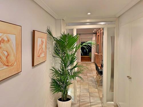 Apartamento Playa San Juan Golf