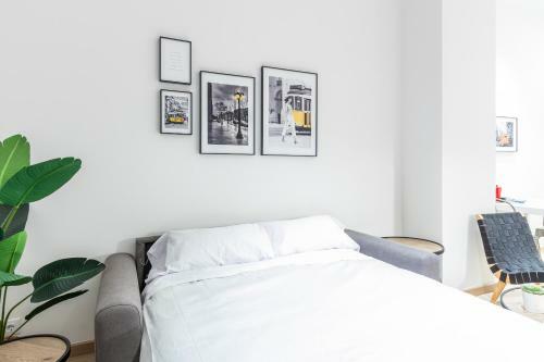 Balmis Plaza Apartments