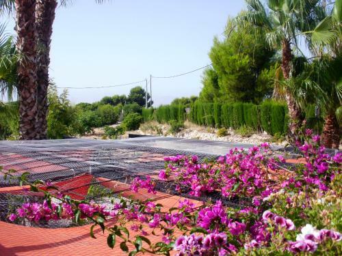 Hostal La Guarida