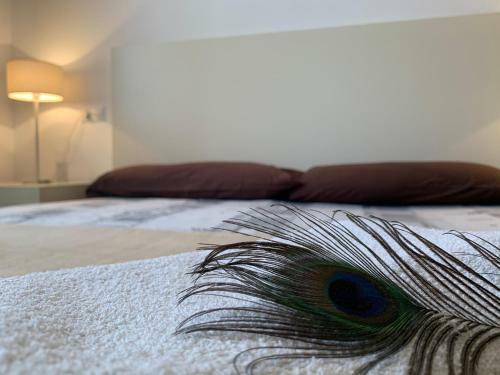 Incre�ble Apartamento Cerca De La Playa