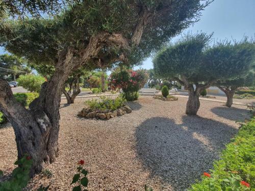 Apartamento En Torrevieja Con Piscina