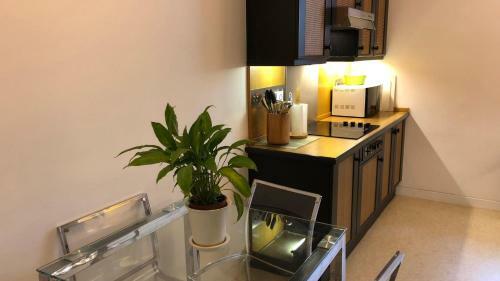 Mayfair Piccadilly Apartment