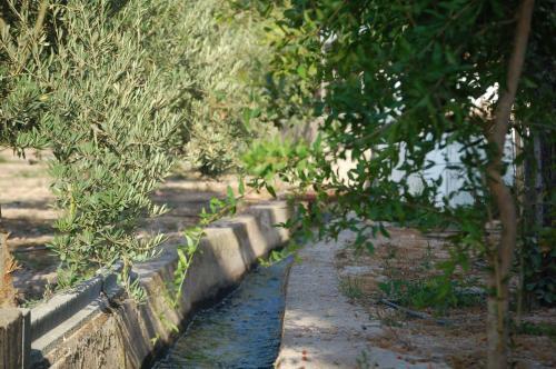 Agroturismo Cortijo Andaluz Do�a Adela
