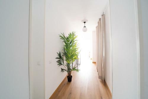 Apartamento Expoholidays - General Tamayo