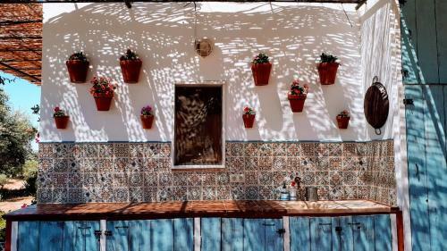 Villa Flores Amarillas