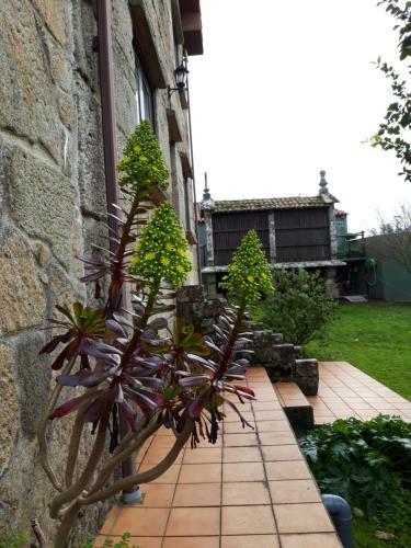 Casa Camino Santiago-fisterra