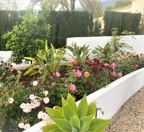 Villa Esmeralda