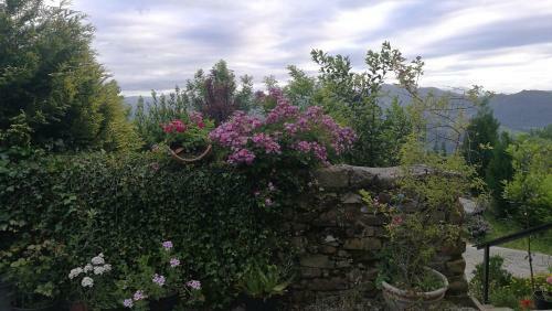 Elbosqueencantadocantabria