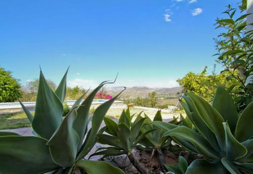 Villa Casa Con Piscina Caminito Del Rey