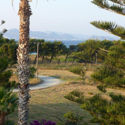 Blue Nest Hotel