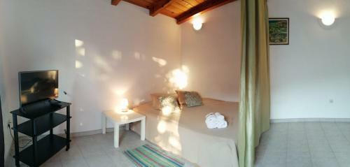 Gracia Apartments