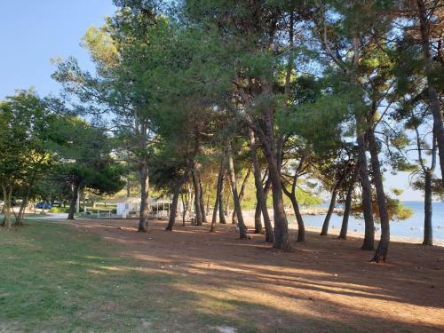 Apartments Adri, Parking In The Yard
