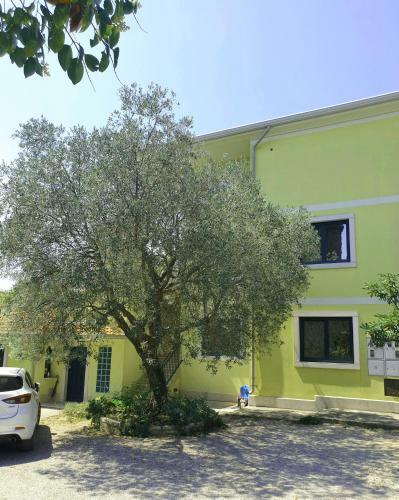 Apartments Adri, Parking In The Yard