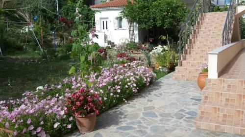 Akti Zaga Apartments