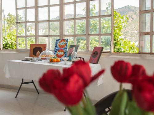 Bohemian Villa M�laga