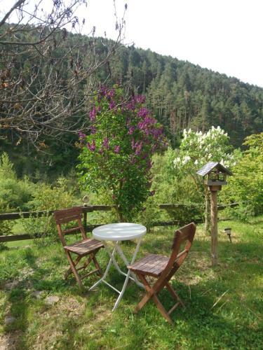 Apartamento Casa Turreta