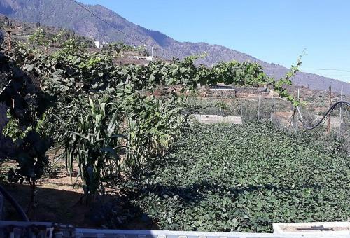 Lodge Finca Rustica En Arafo