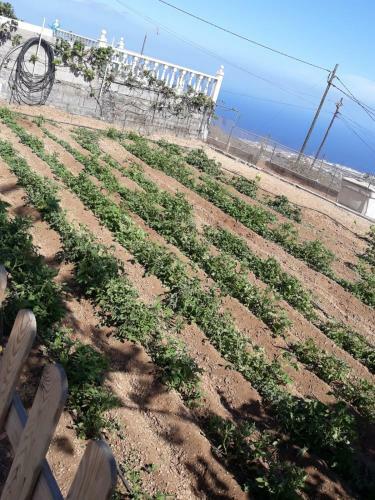 Lodge Finca Rustica En Arafo