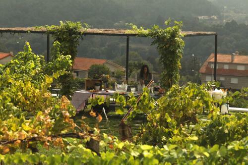 Agroturismo Pazo De Almui�a