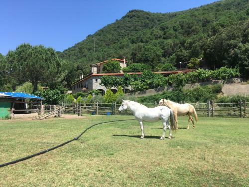 Apartamento Casanova Del Monjo