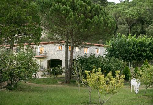 Apartamento Casanova Del Monjo