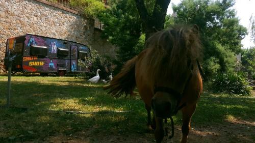 Apartamento Casanova Del Monjo