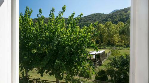 Apartamento Casanova Del Monjo