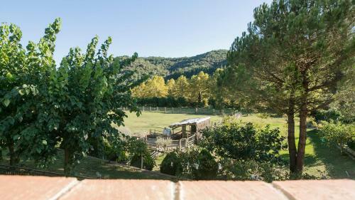 Apartamento Casanova Del Monjo