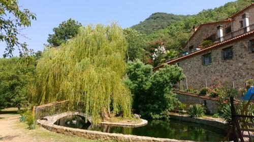Apartamento Casanova Del Monjo