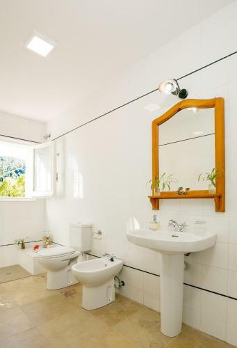 Apartamento Casanova Del Monjo