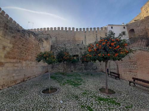 Apartamento Tur�stico La Vega