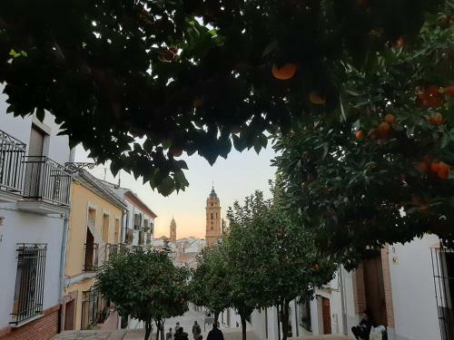 Apartamento Tur�stico La Vega