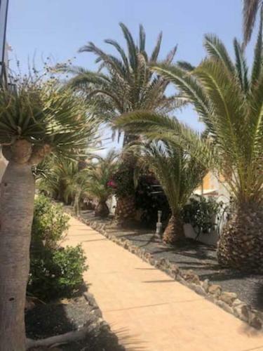 Apartamento Amaya Relax