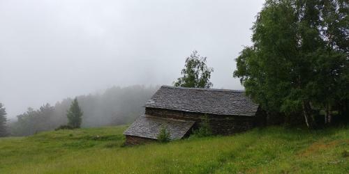 Bordes Pirineu, Costuix