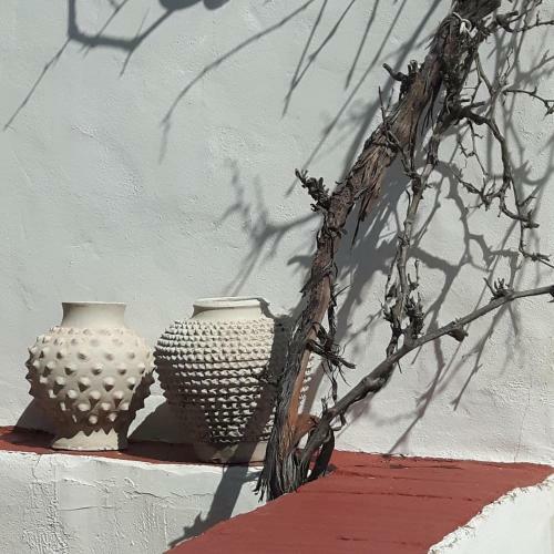 Lodge Casa Junius