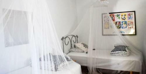 Lodge Casa Junius