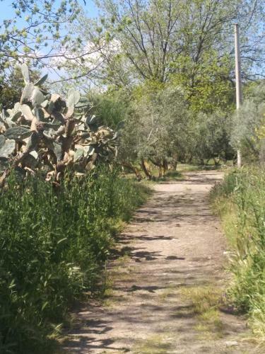 Bed & Breakfast El Patio Andal�