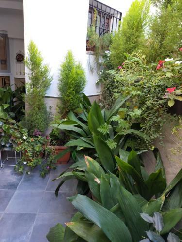 Apartamento Casabobastro