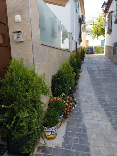 Apartamento Casabobastro