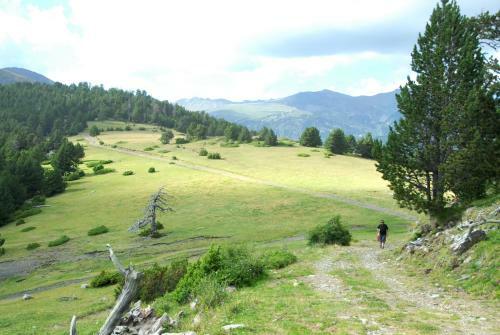 Apartamento Paller Cal Cintet