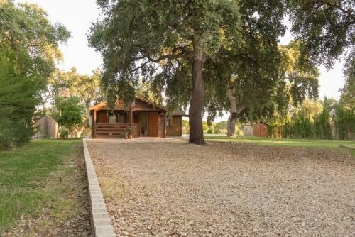 La Casa Del Chaparro