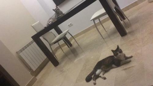 Casa Familiar En Armilla