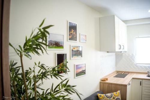 Apartamento Arcos