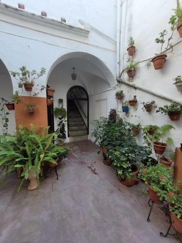 Apartamento Casa Cuna