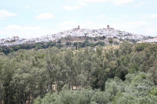 Apartamento Duque De Boliches