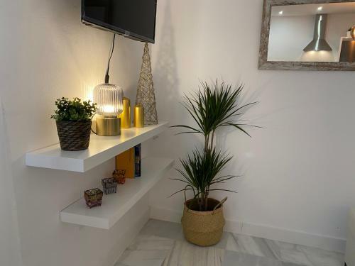 Apartamentos La Reina
